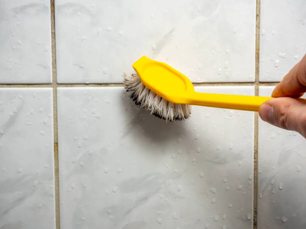Best Home Mold Removal  in White Hall, IL