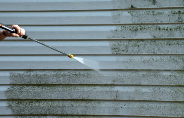 Attic Mold Removal in White Hall, IL